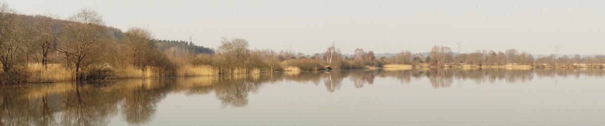 Stacks Image 135